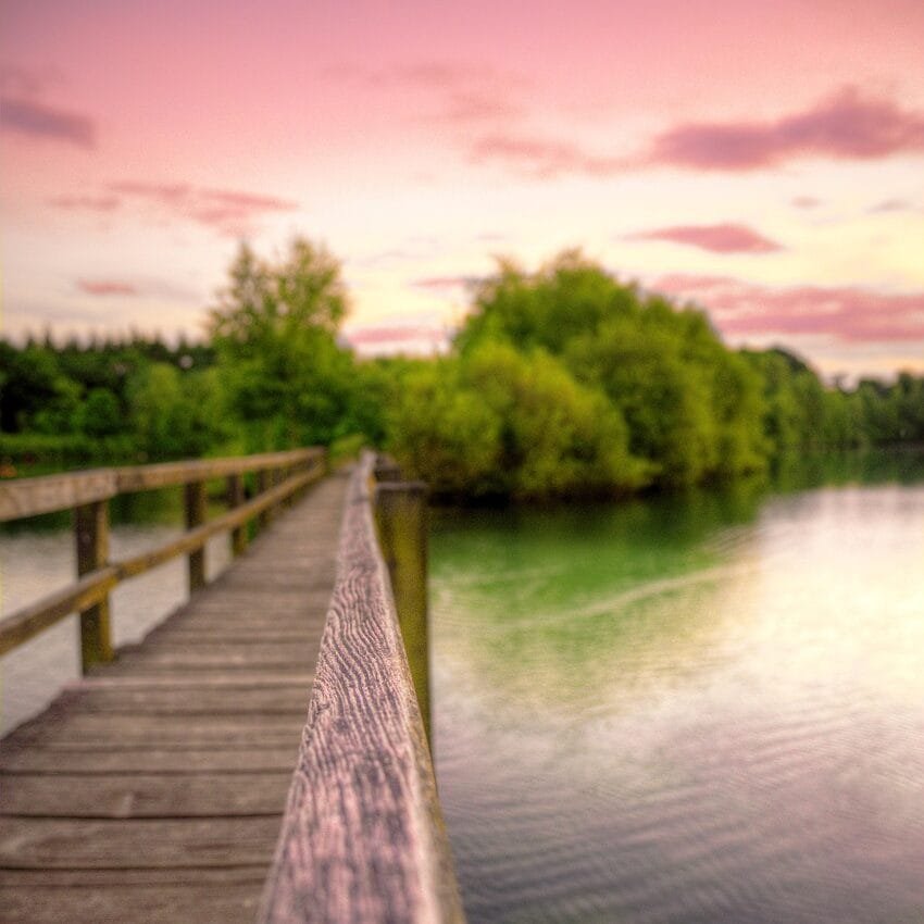 bridge, sunset, water, lake, nature, trees, wood, scene, river, sky, walk, green, park
