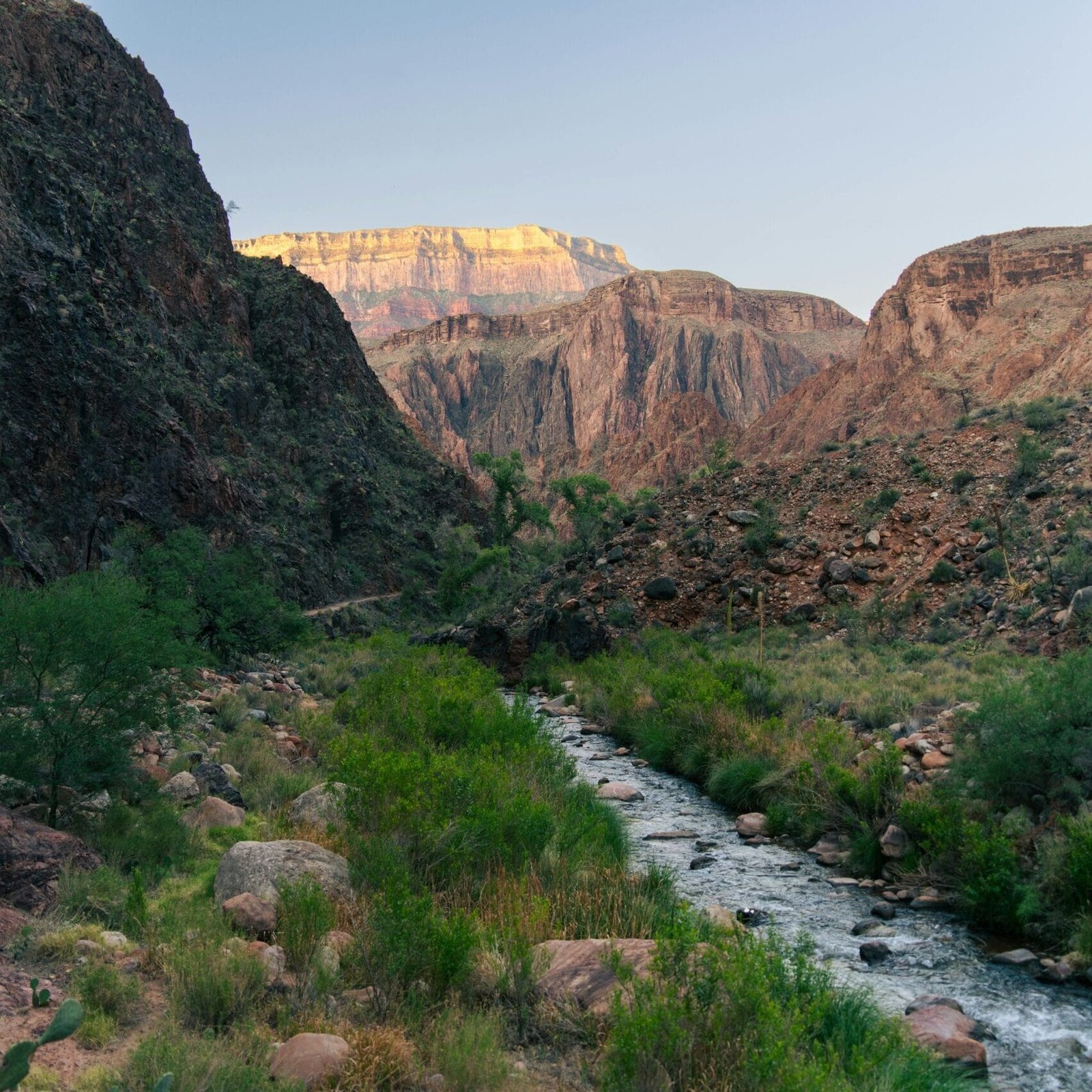 Explore the breathtaking landscapes of Grand Canyon National Park's trails.