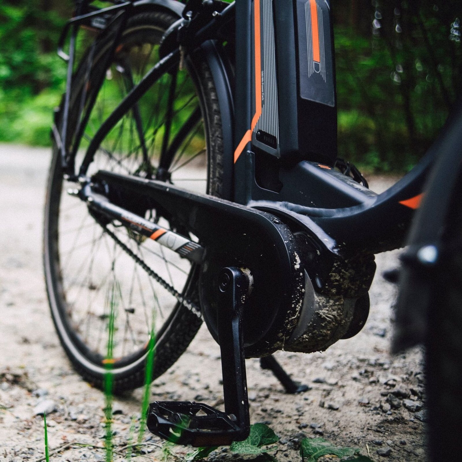 Detailed view of a mountain bike on a gravel path through lush forest foliage.